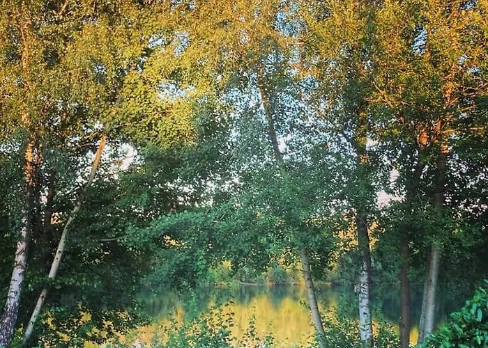 Ferienhaus Fachwerkhaus Am Mit Fass-sauna Im Münsterland Warendorf